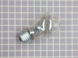 Light Bulb 31956-1
