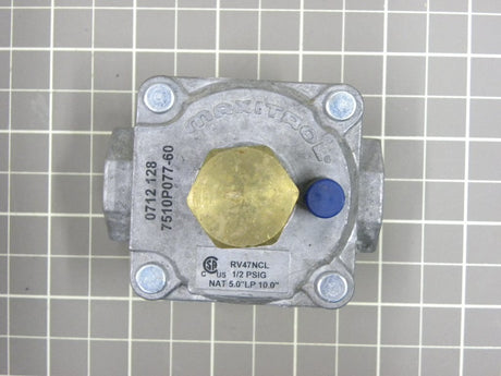 Gas Pressure Regulator Y04100249