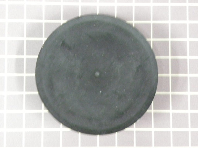 Dispenser Door Flap WR17X11653