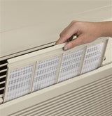 GE Zoneline Heat Pump Unit with ICR, 230/208 Volt AZ65H09DAD