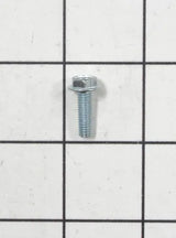 Screw WP489349