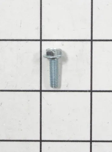 Screw WP489349