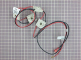 Spark Ignition Switch and Harness 316580611