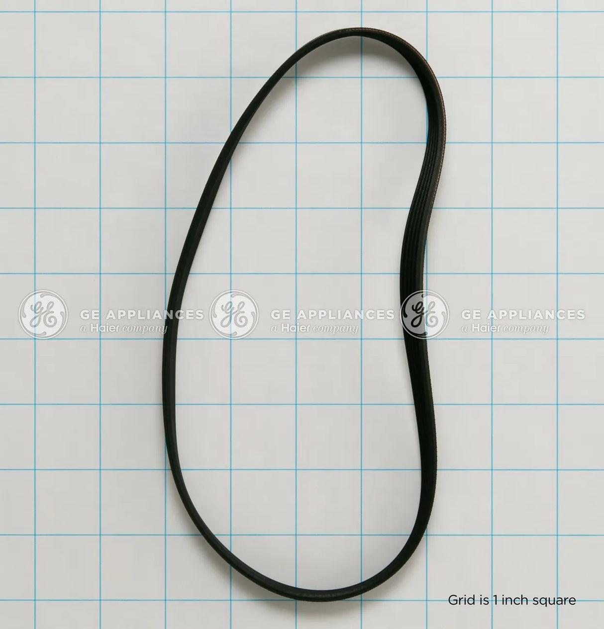 Drive Belt WH01X24697