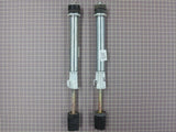 Rear Set of 2 Strut ASM 22001988