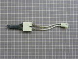 Ignitor 40069801
