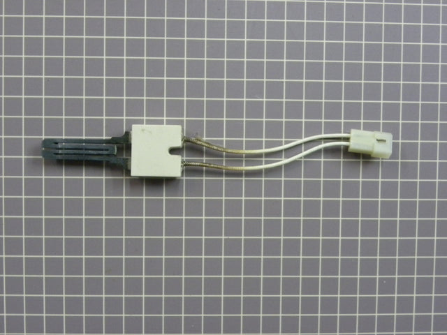 Ignitor 40069801