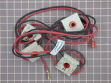 Spark Ignition Switch and Harness 316580625