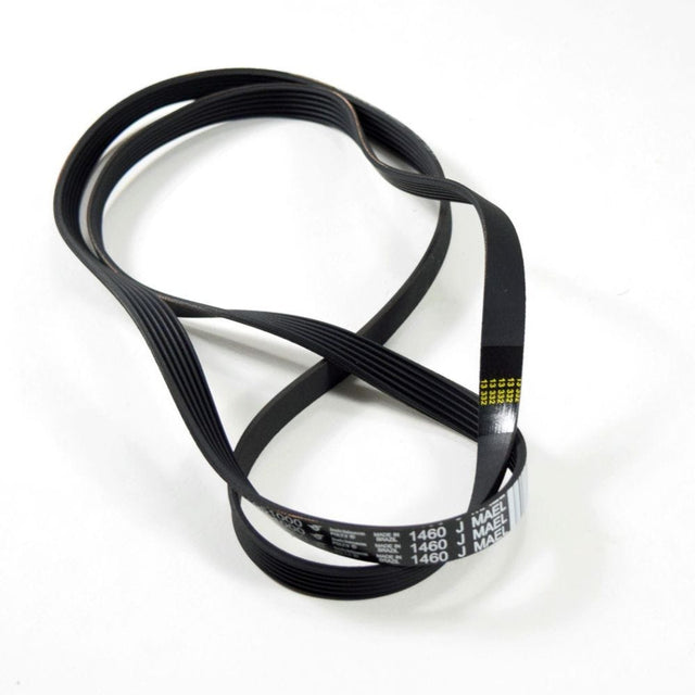 Belt WH08X10003
