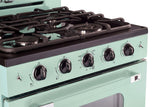 Classic Retro by Unique 30” Convection Gas Range UGP-30CR LG-Mint Green