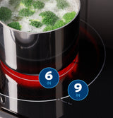 GE® ENERGY STAR® 30" Free-Standing Electric Range with Crisp Mode GRF500SVSS