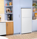 GE 19 Cu. Ft. Garage Ready Top-Freezer Refrigerator GPS19KGZWW